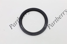 САЛЬНИК PB562400 PARTBERRY