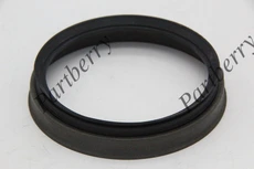 САЛЬНИК СТУПИЧНЫЙ PB561401 PARTBERRY