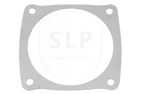 Шайба SHI-2419 SLP