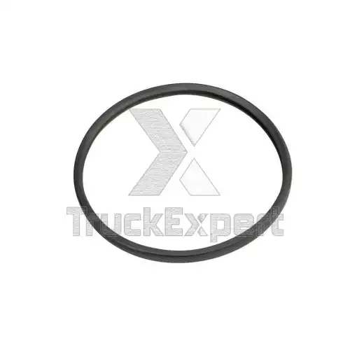 11500071_прокладка термостата TRUCKEXPERT