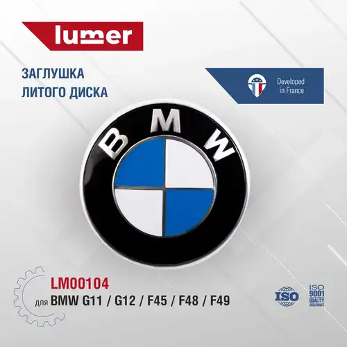 Крышка ступицы LUMER LM00104