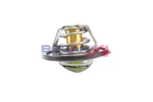 Термостат системы охлаждения BOGAP A4245151