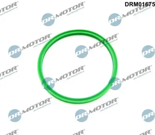 Кольцо уплотнительное автомобильное DR. MOTOR DRM01675