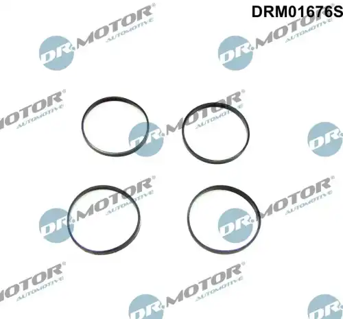 DR. MOTOR DRM01676S
