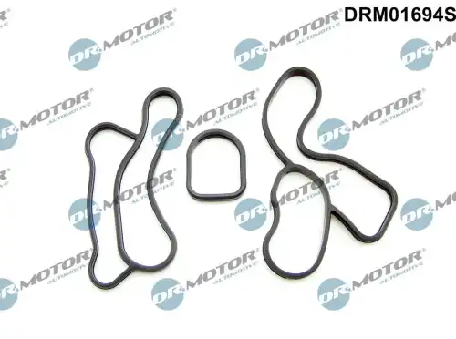Комплект прокладок двигателя DR. MOTOR DRM01694S