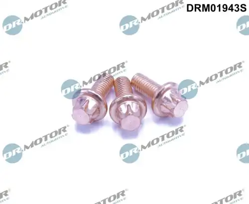 Болт, система выпуска DRM01943S DR. MOTOR