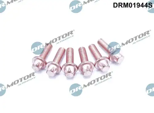 Болт, система выпуска DRM01944S DR. MOTOR