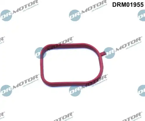 Прокладка, корпус термостата DRM01955 DR. MOTOR