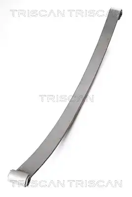 Рессора подвески TRISCAN 8765 23008