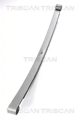 Рессора подвески TRISCAN 8765 23017