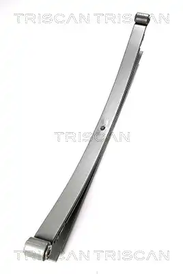 Рессора подвески TRISCAN 8765 29011