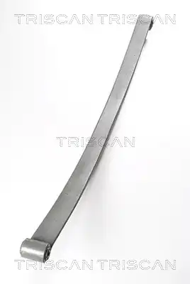 Рессора подвески TRISCAN 8765 23016
