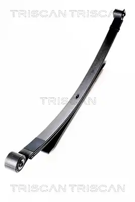 Рессора подвески TRISCAN 8765 16006