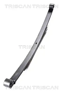 Рессора подвески TRISCAN 8765 16011