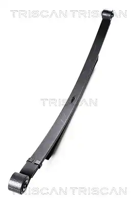 Рессора подвески TRISCAN 8765 16010