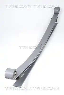 Рессора подвески TRISCAN 8765 16032