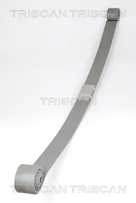 Рессора подвески TRISCAN 8765 16034