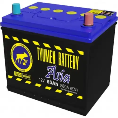 Аккумулятор TYUMEN BATTERY TNSA65.0