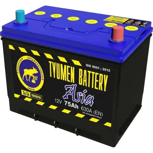 Аккумулятор TYUMEN BATTERY TNSA75.0
