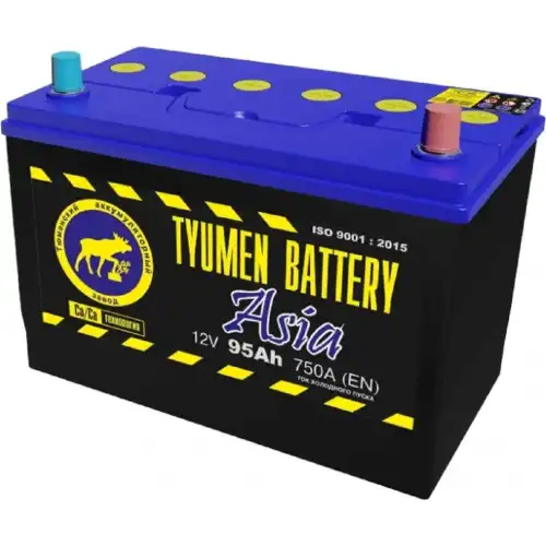 Аккумулятор TYUMEN BATTERY TNSA95.0