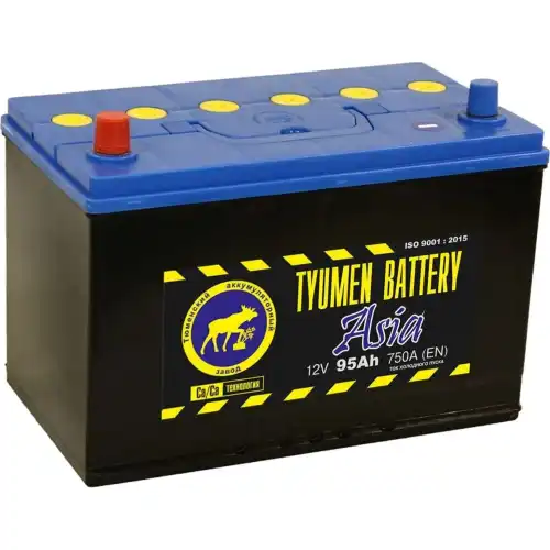 Аккумулятор TYUMEN BATTERY TNSA95.1