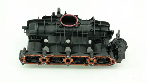 Коллектор впускной AW20009400007 DOMINANT