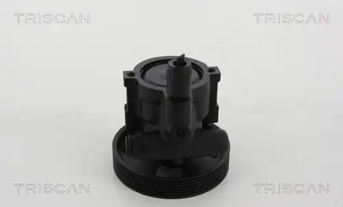 Насос гидроусилителя руля TRISCAN 8515 10610