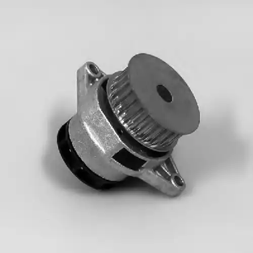 помпа VW 980129 GK