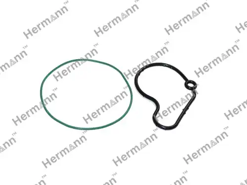 HR038145101BKIT Ремкомплект HERMANN