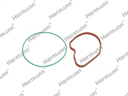 Ремкомплект HR703097030KIT HERMANN