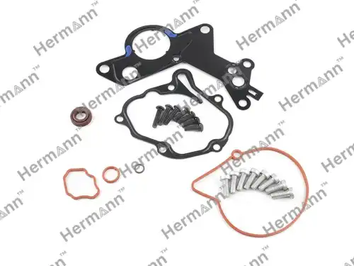 HR038145209FB Ремкомплект HERMANN