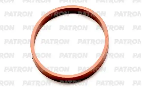 Прокладка коллектора PATRON PG5-1121