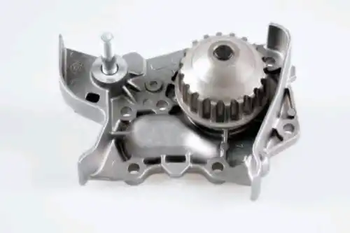 помпа Ren 986931 GK