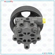 Насос гидроусилителя руля GELZER H5009PU