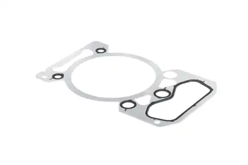 Прокладка ГБЦ TOPCOVER T2039-5002