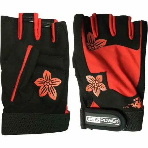 ECOS 002366