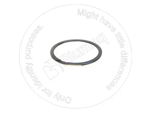 RING 3K2556 ST BLUMAQ