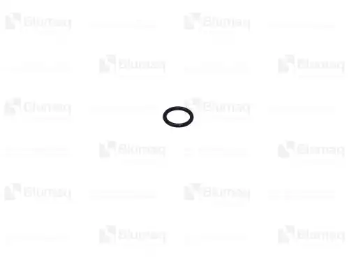 САЛЬНИК 1335186 ST BLUMAQ