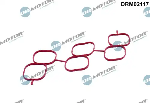 DR. MOTOR DRM02117