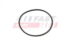 Прокладка коллектора FAST FT49464