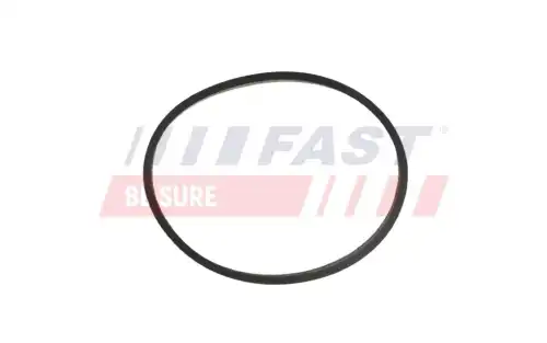 Прокладка коллектора FAST FT49464