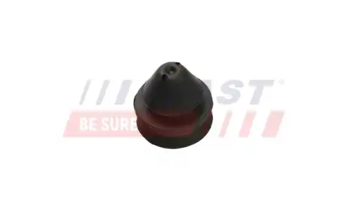 Подвеска, радиатор FT55811 FAST