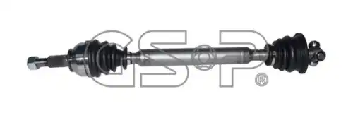 ) GSP 250446