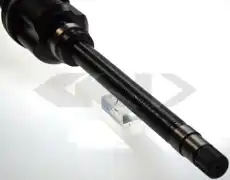 303051