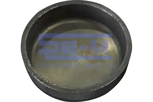 заглушка ГБЦ !(м) d=32 \DAF SEM14807 SE-M