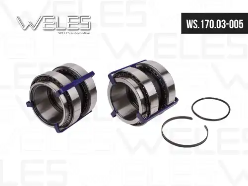Ступица WELES WS17003005