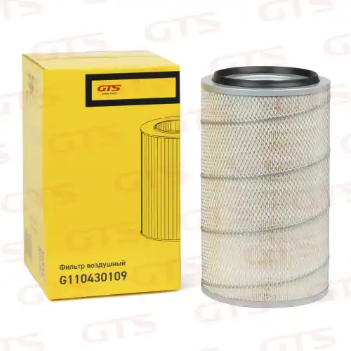 Фильтр воздушный GTS G110430109
