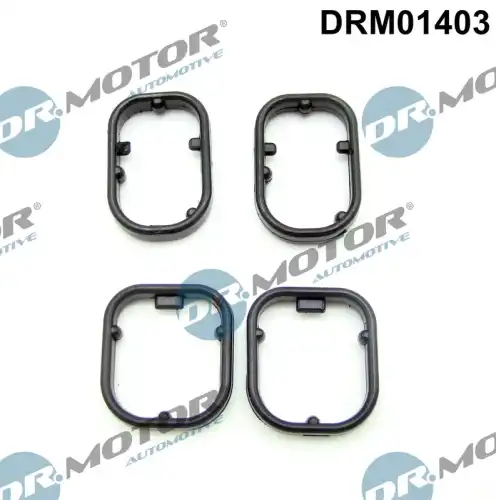 Комплект прокладок двигателя DR. MOTOR DRM01403