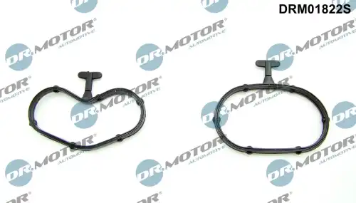 Комплект прокладок двигателя DR. MOTOR DRM01822S