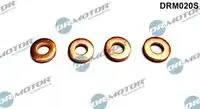 Кольцо уплотнительное форсунки DR. MOTOR DRM020S